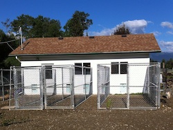 Kennels Outdoors