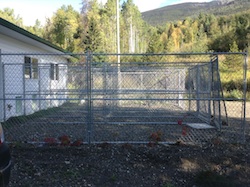 Kennels Outdoors